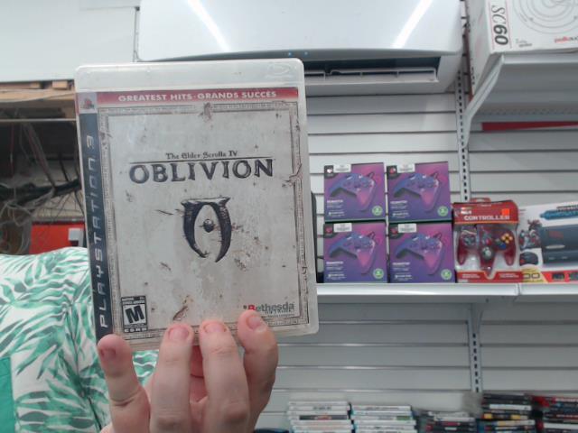 The elder scrolls iv oblivion