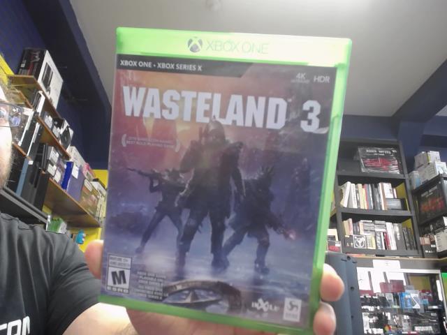 Wasteland 3