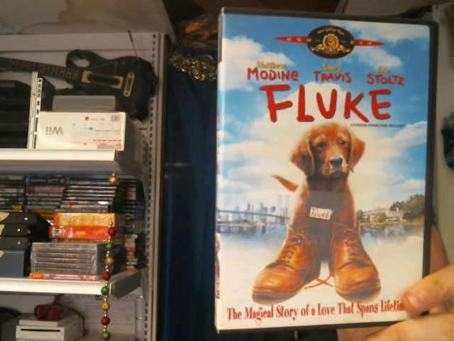 Fluke