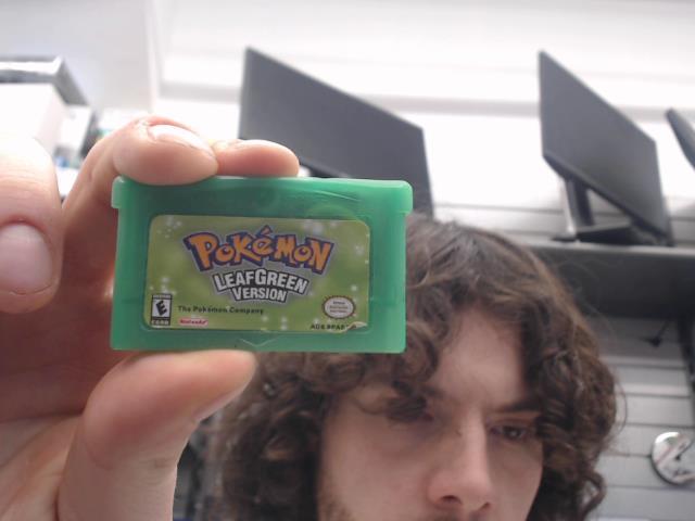 Pokemon leafgreen version