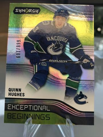 Exceptional beginnings quinn hughes