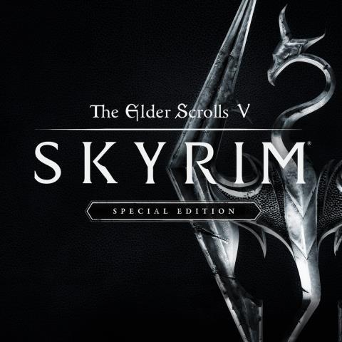 The elder scrolls v skyrim