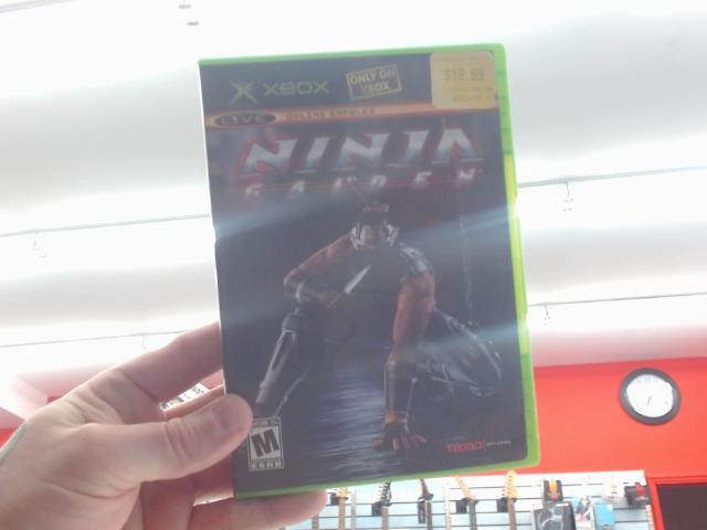 Ninja gaiden