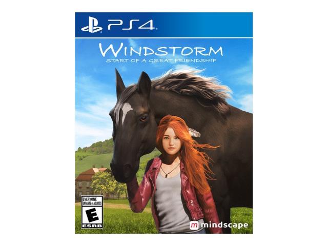 Windstorm soagf ps4