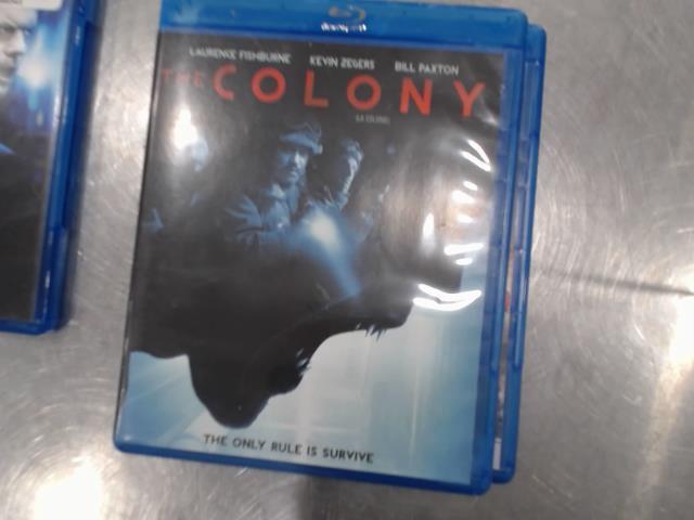 The colony