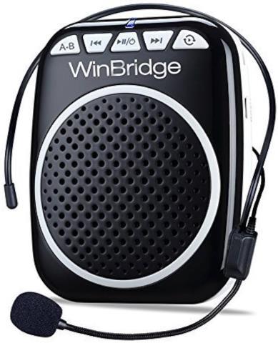 Voice amplifier winbridge