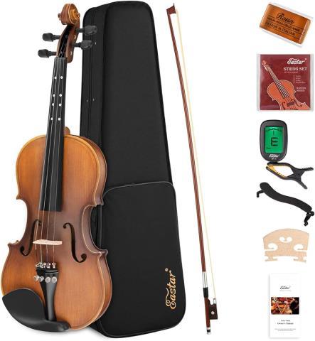 Petit violon dans le case+acc