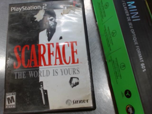 Scarface the world is yours