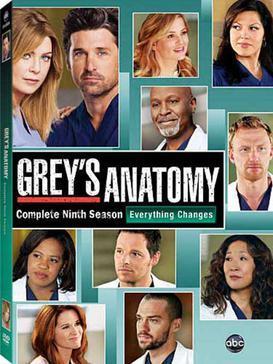 Greys anatomy 9th season