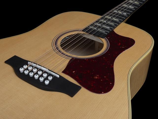 Guitare acoustique 12 corde