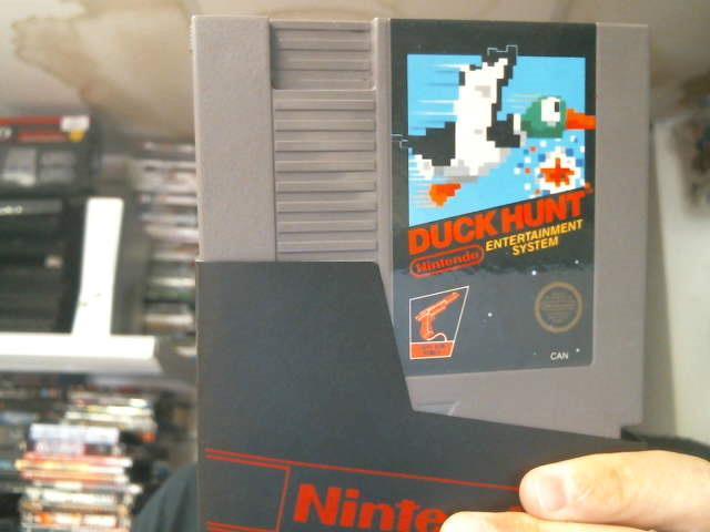 Duck hunt