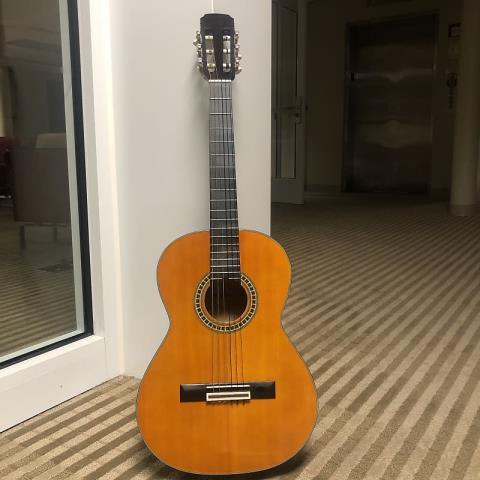 Aira ak 20 acoustic guitar