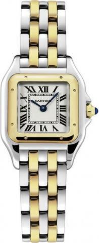 Relique de cartier panthere (quartz)2ton