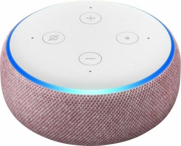 Google nest mini pink