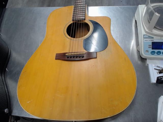 Acoustic guit in fender case