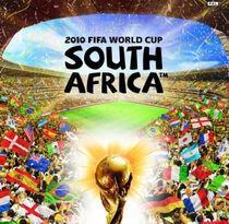 210 fifa world cup south africa