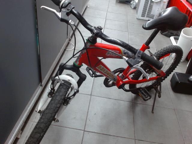 Velo montagne enfant 20po