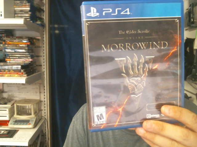 Morrowind online