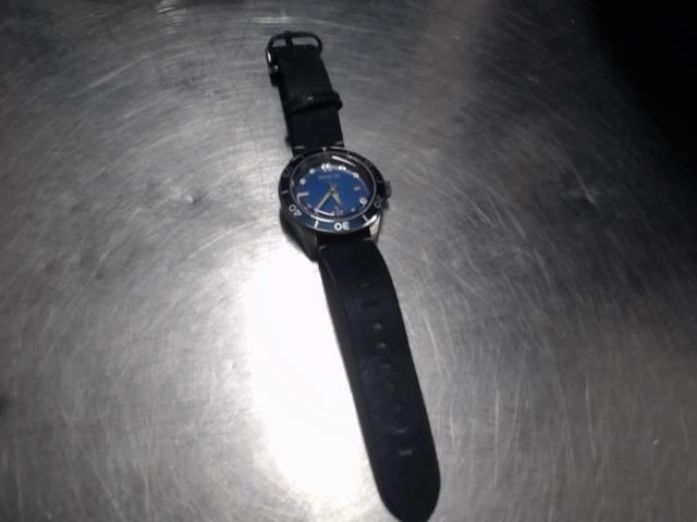 Motre invicta bleue