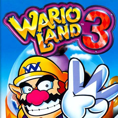 Wario land 3