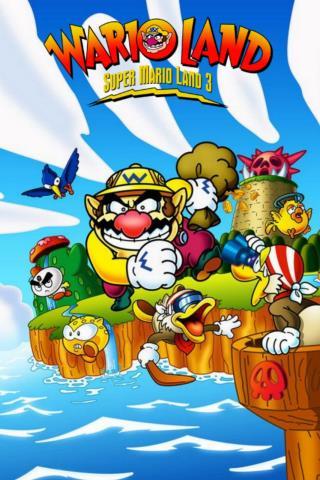 Wario land