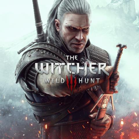 The witcher wild hunt