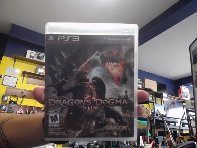 Dragons dogma