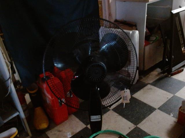 Fan