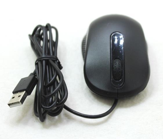 Souris acer noir