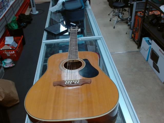 Guitar acoustic brazilian 12 string