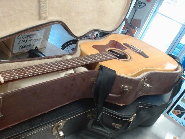 Guitare acoustique norman b20 ds case