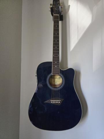 Guitare bleu dans etuit dure poilu int