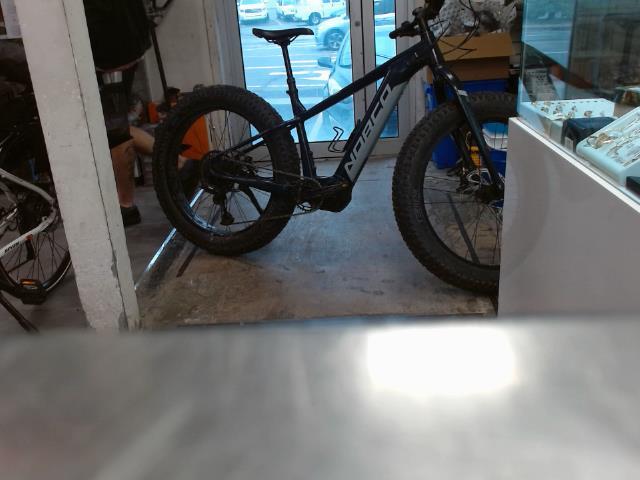 Fat bike electric