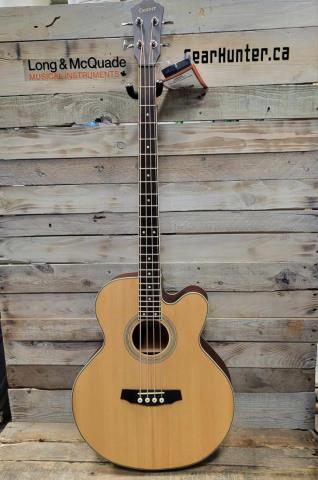 Basse acoustique denver+hardcase