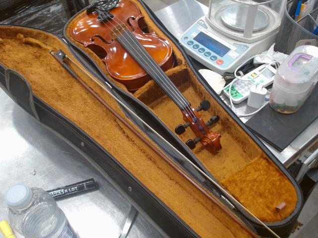 Violon 4/4 +etui+acc