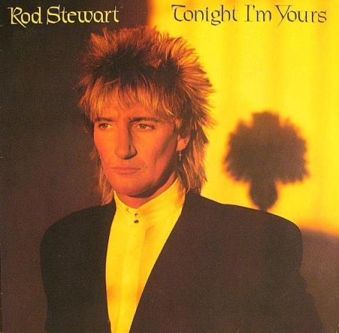 Rod stewart tonight im yours vinyl