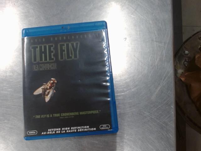 The fly