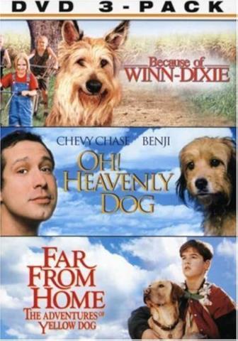 Winn-dixie heavenly dog far from home