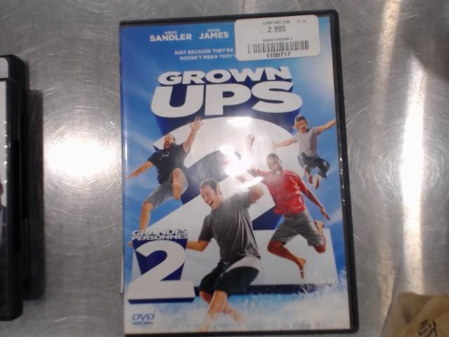 Grown ups 2