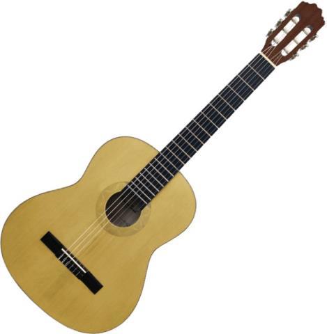 Guitare acoustique + case