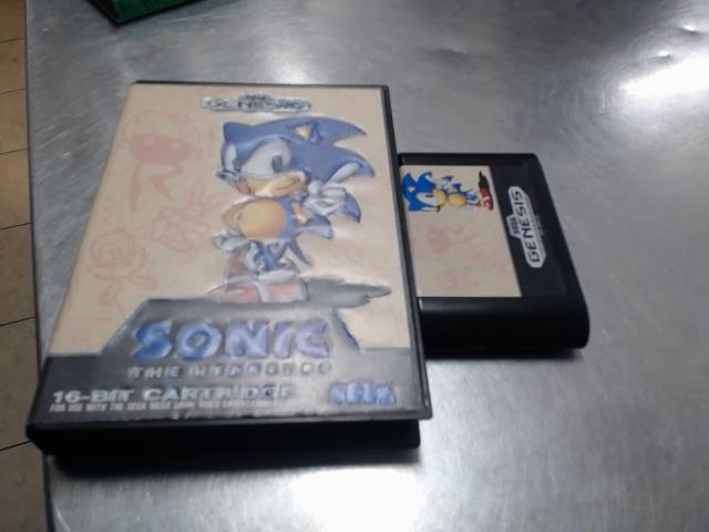 Sonic the hedgehog