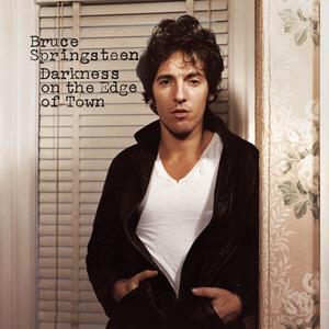 Bruce springsteen vinyl