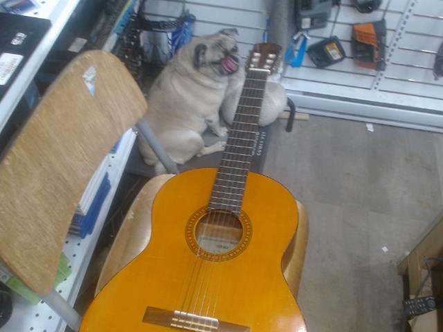 Guitare accoustique petite