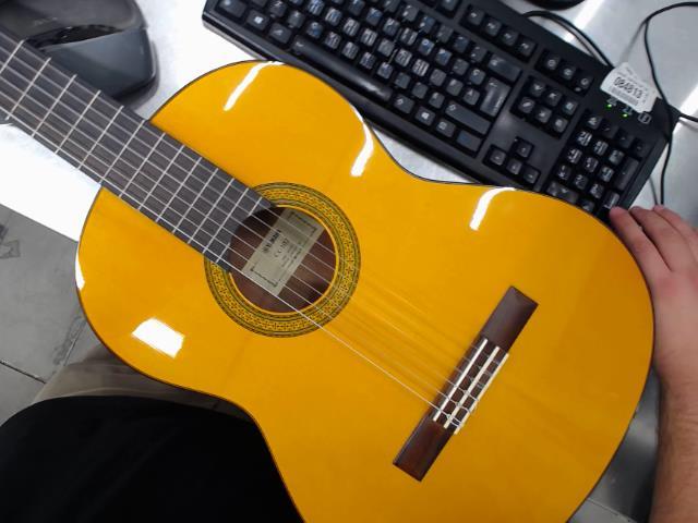 Guitar acoustic