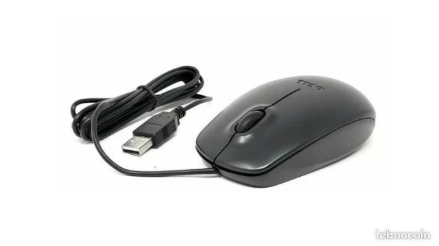 Souris dell