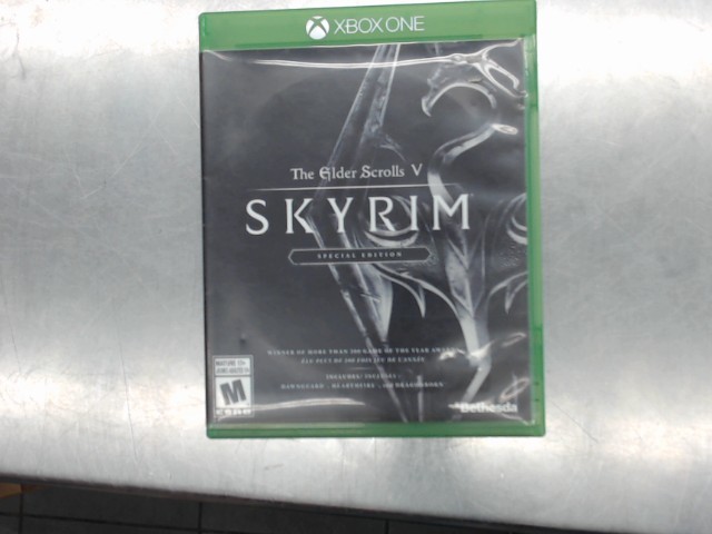 The elder scrolls skyrim special edition