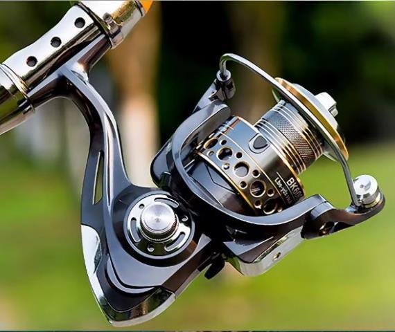 Fishing reel ds  bo