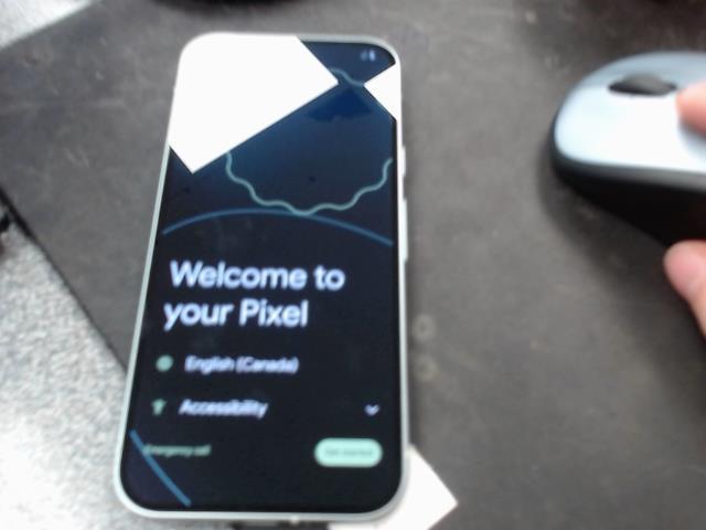 Google pixel vert sans case pw3039