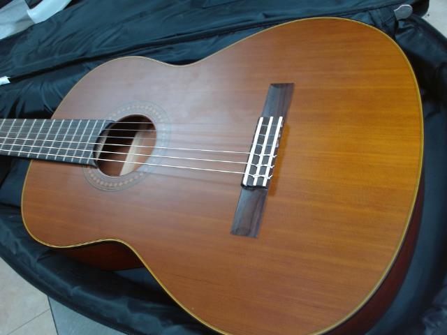 Guitare yamaha ds case