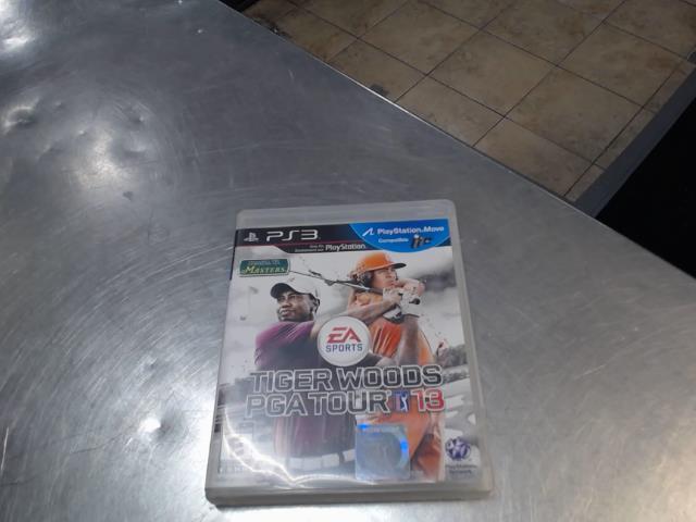 Tiger woods pga tour 13